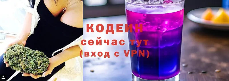 Codein Purple Drank  гидра   Старая Русса  что такое наркотик 